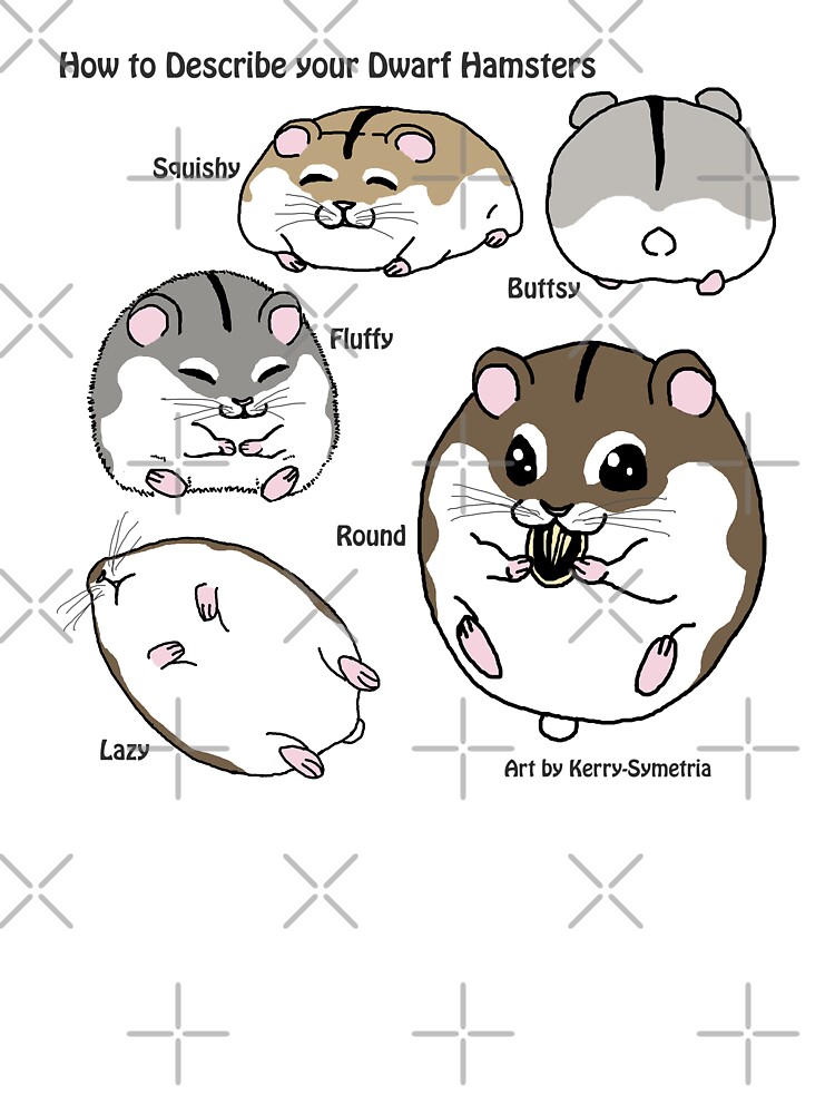 How to Describe your Dwarf Hamsters\