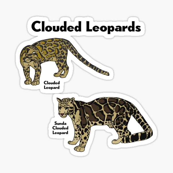Vista previa del artículo con la obra «Leopardos nublados», diseñado y vendido por GraceT26.