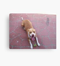 Wanna Play Metal Print