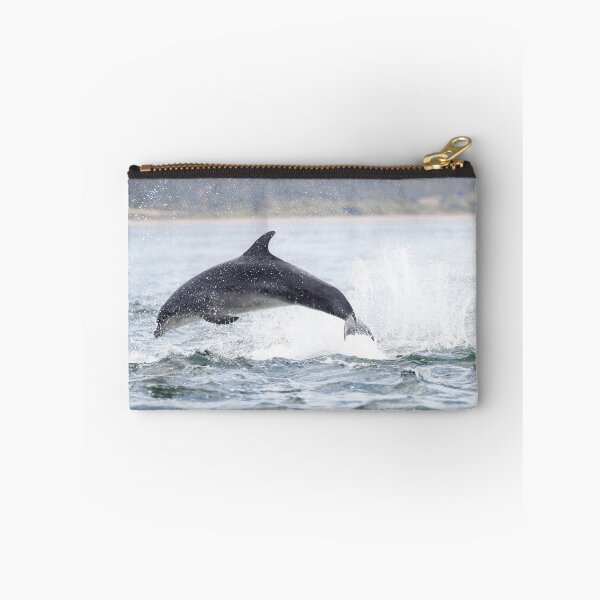 Item preview, Jumping (breaching) Wild bottlenose dolphin tursiops truncatus. designed and sold by chanonry.