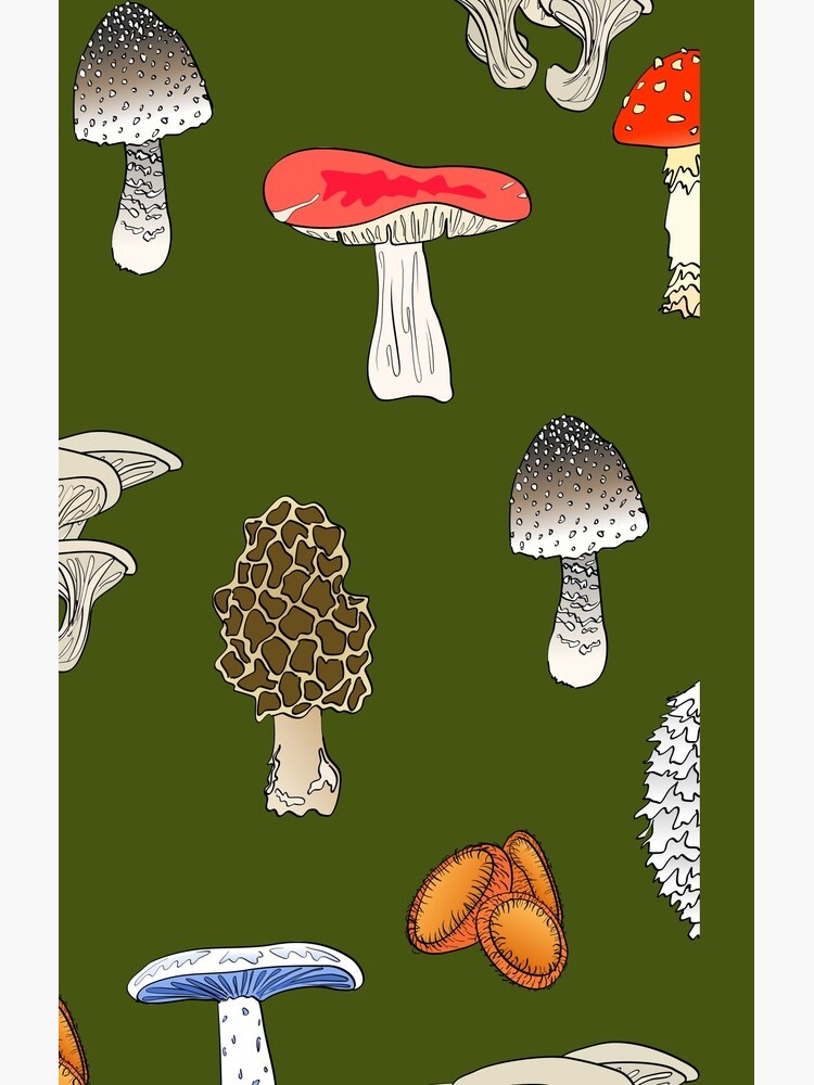 Mushroom Mania by thevexedmuddler