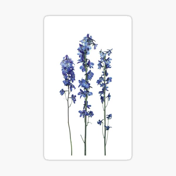 Item preview, Violet Blue designed and sold by Maren Misner.