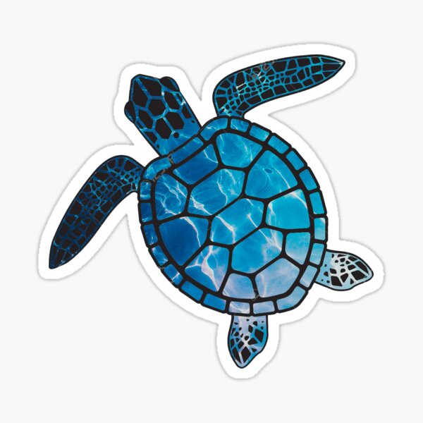 Tiny Turtle Gifts & Merchandise | Redbubble