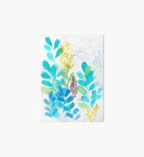Banksia-Studie 1 Galeriedruck