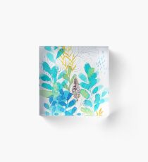Banksia Study 1 Acrylic Block