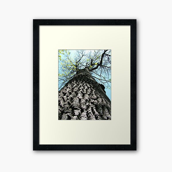 Untitled Framed Art Print