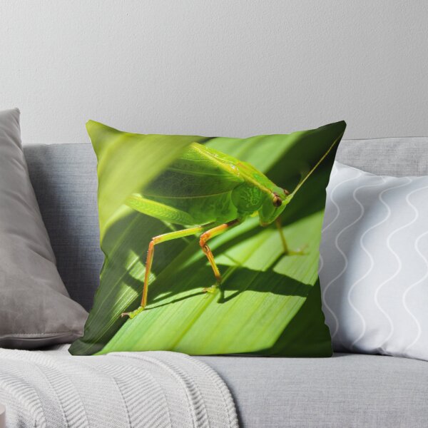 Artikelvorschau, Grasshopper entworfen und verkauft von Deanna Gardam.