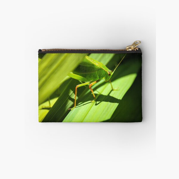 Artikelvorschau, Grasshopper entworfen und verkauft von Deanna Gardam.
