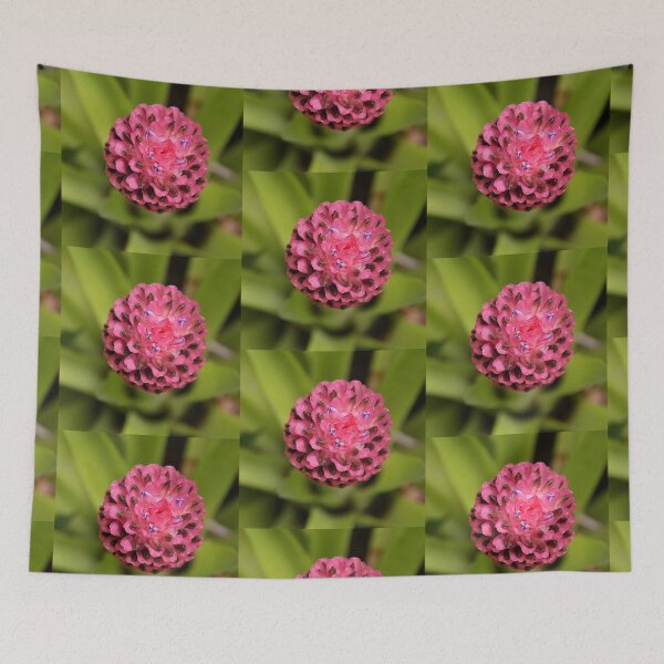 Item preview, Bromeliad designed and sold by Carole-Anne.