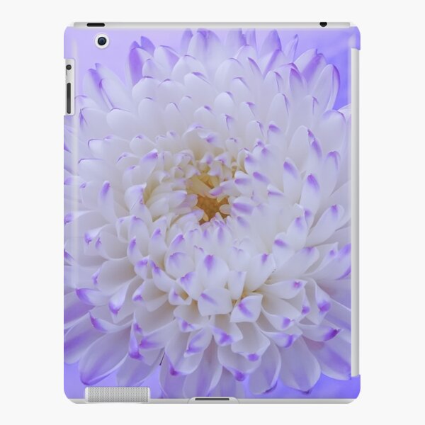 Funda y vinilo para iPad «Verano del Aster» de usarai | Redbubble