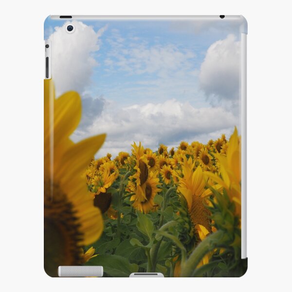 Sunflower Garden iPad Snap Case