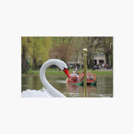 Boston Public Garden Swan Boats Art Board Print