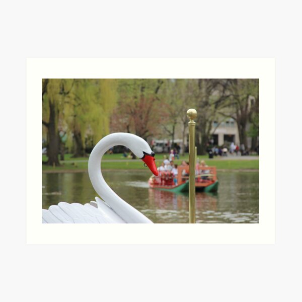 Boston Public Garden Swan Boats Art Print
