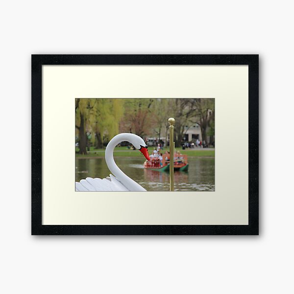 Boston Public Garden Swan Boats Framed Art Print
