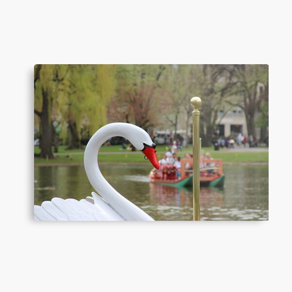 Boston Public Garden Swan Boats Metal Print