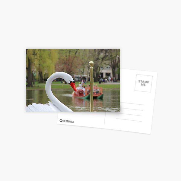 Boston Public Garden Swan Boats Postcard