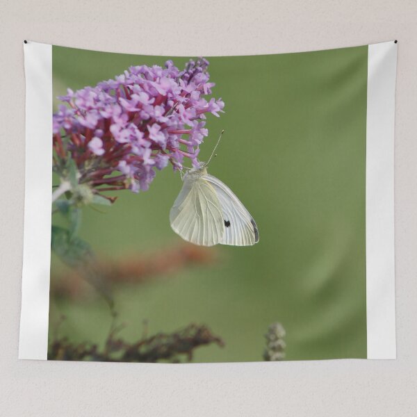 Item preview, The Butterfly is Proof designed and sold by Adam Bykowski.
