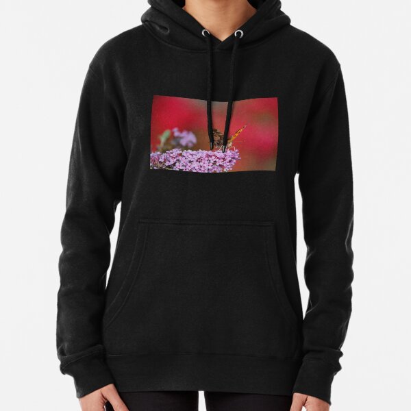 Tenderness Afoot Pullover Hoodie