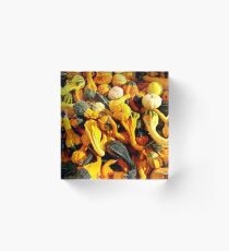Autumn Squashes Acrylic Block