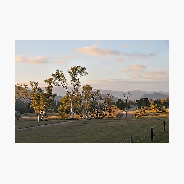 Aroona Photographic Print
