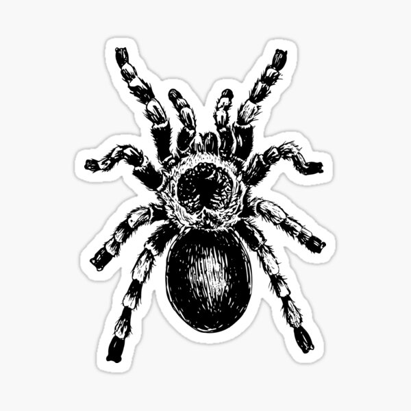 Item preview, Tarantulas pattern designed and sold by Katerina Mitkova Kirilova.
