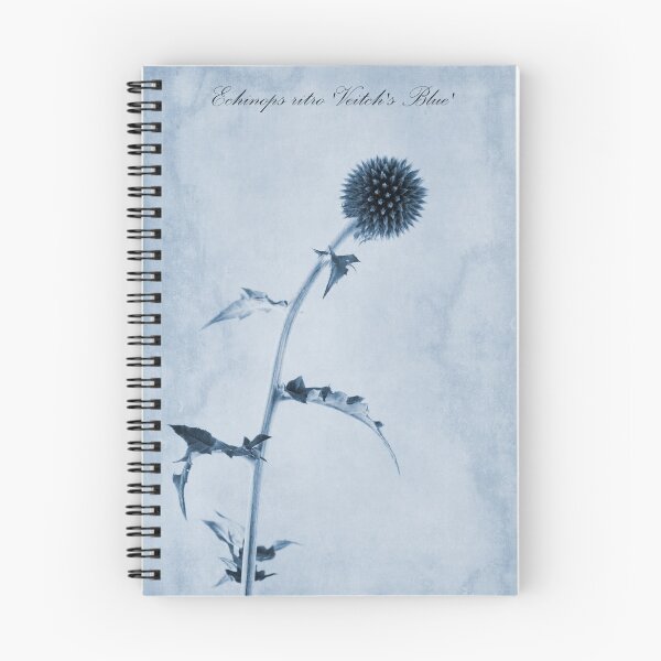 Item preview, Echinops ritro 'Veitch's Blue' Cyanotype designed and sold by Creative by Design.