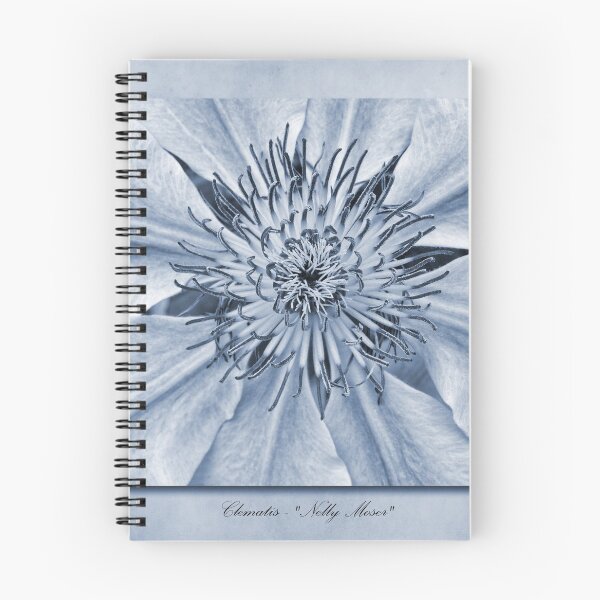 Item preview, Clematis Nelly Moser Cyanotype designed and sold by Creative by Design.