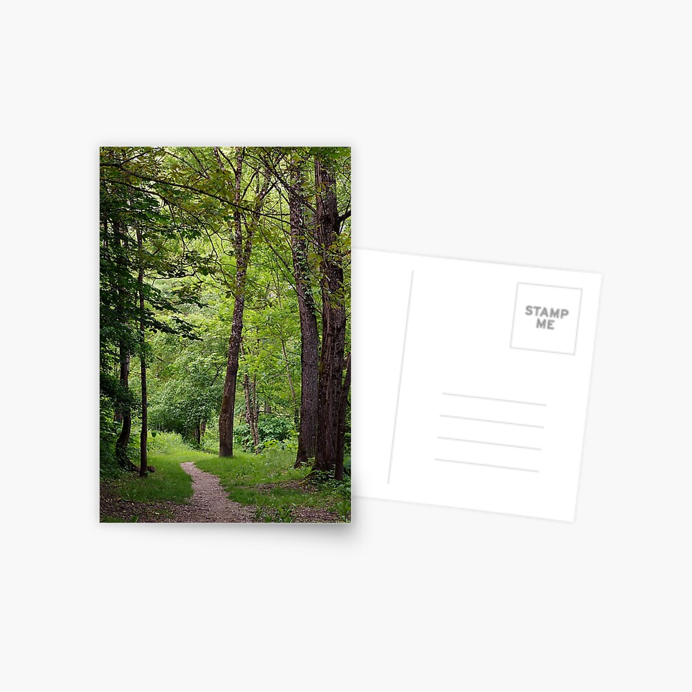 Item preview, Postcard designed and sold by patmo.