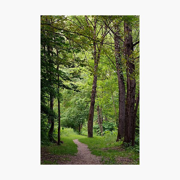 Photographic Print
