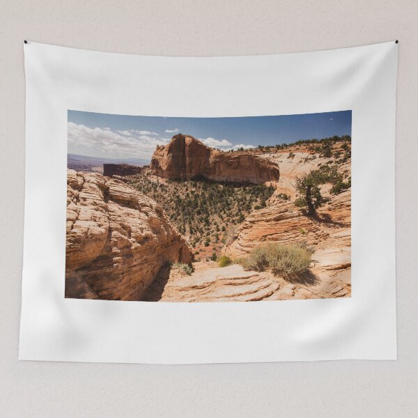 Item preview, On The Edge Of Mesa Arch ©  designed and sold by © Hany G. Jadaa © Prince John Photography.