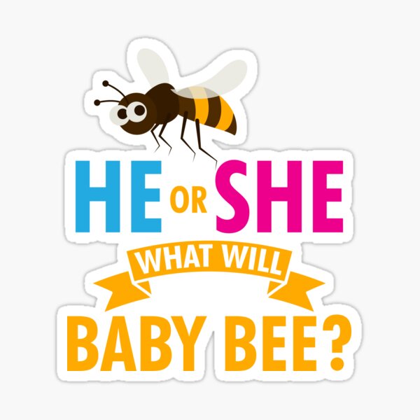 He Or She What Will Baby Bee Baby Shower Pregnancy Gift Sticker By Melsens Redbubble