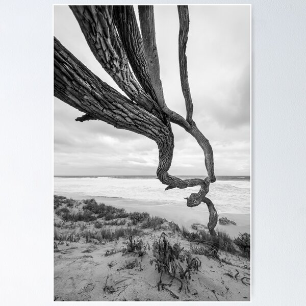 Item preview, Scar Tree designed and sold by Dana Fatchen.