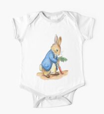 Nursery Characters, Peter Rabbit, Beatrix Potter. One Piece - Short Sleeve