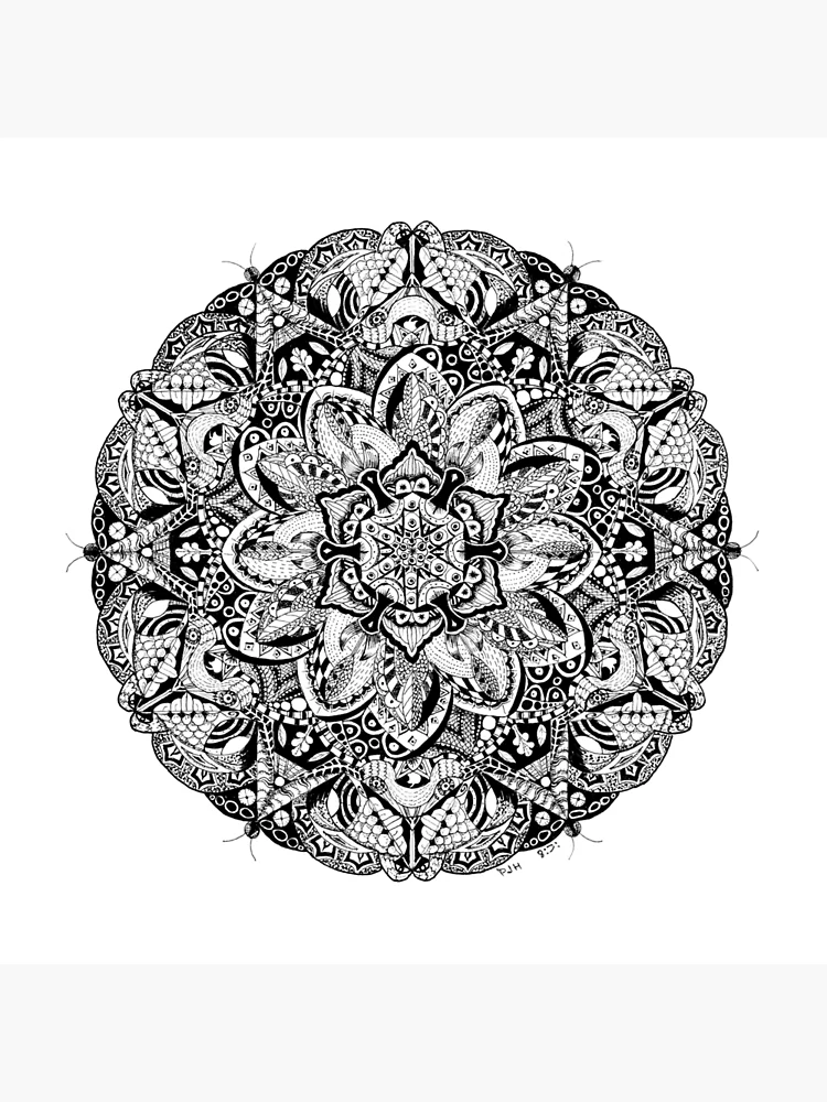 Mandala No.2