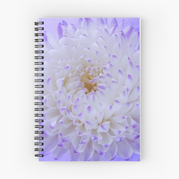 Item preview, Aster Flower, purple and white. designed and sold by lilac12.