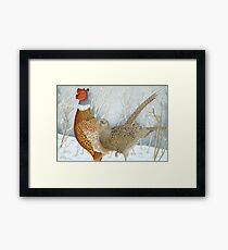 Pheasants in the snow Framed Print