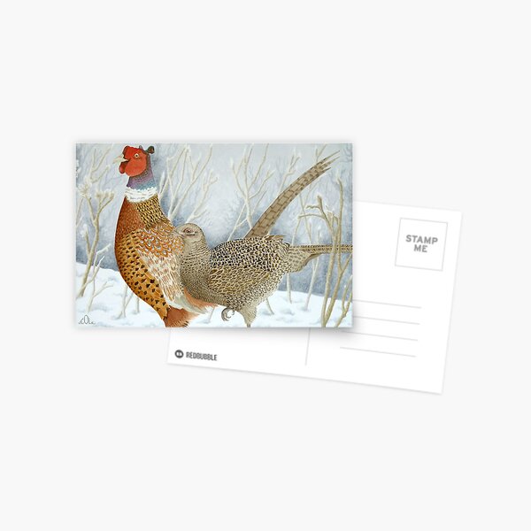 Pheasants in the snow Postcard