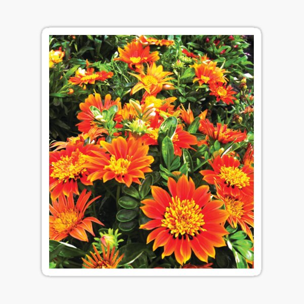 Flowers Full of Light by Jerald Simon (Music Motivation - musicmotivation.com) Sticker