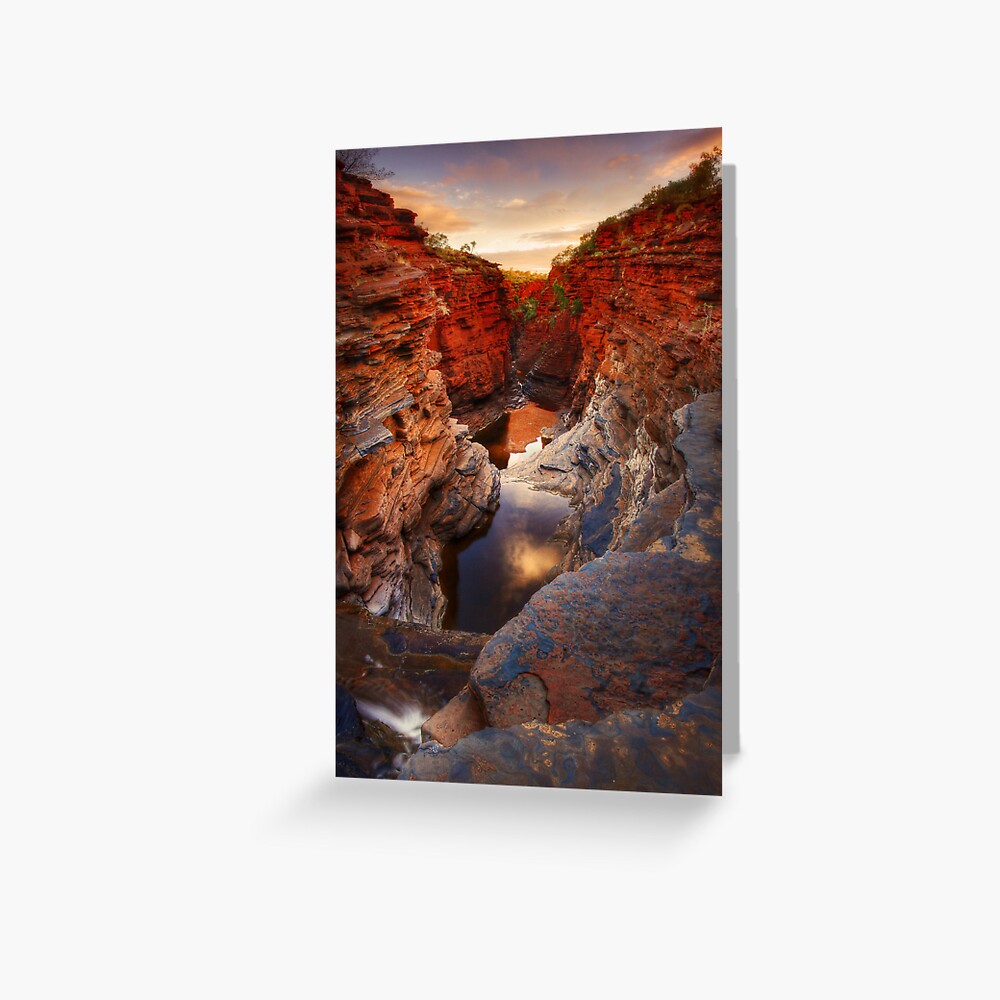 Item preview, Greeting Card designed and sold by Rhinochaser.