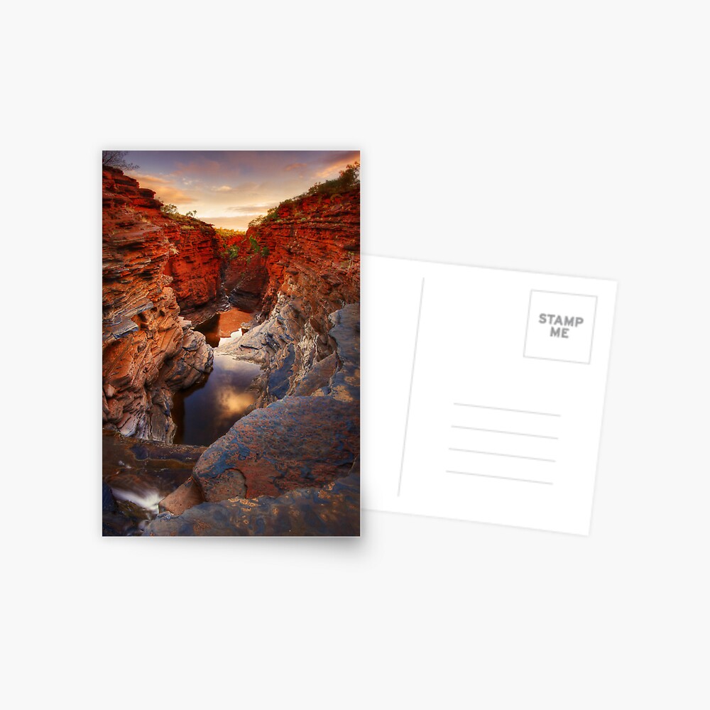Item preview, Postcard designed and sold by Rhinochaser.