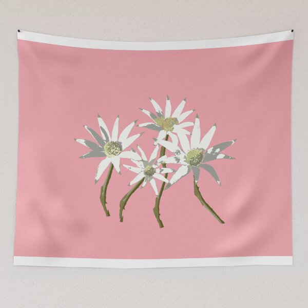 Item preview, Flannel Flowers (Actinotus helianthi) on coral designed and sold by ChrissyWild.