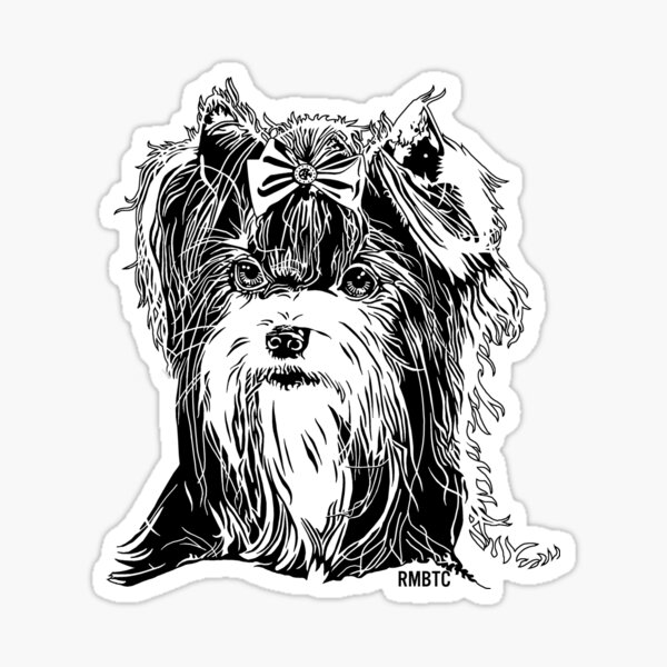 Biewer Terrier Sticker