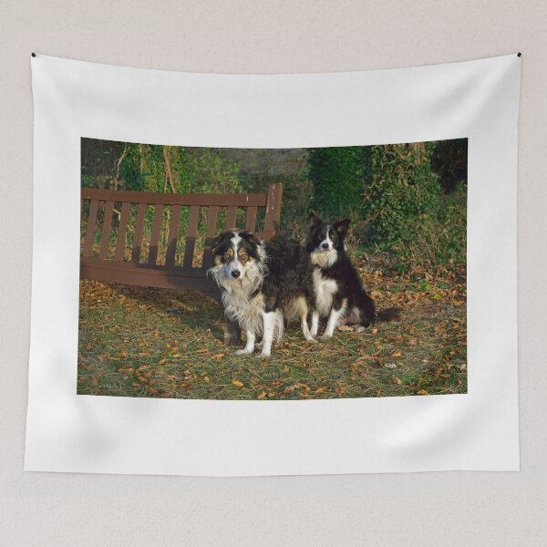 Item preview, Chums designed and sold by Michael Haslam.