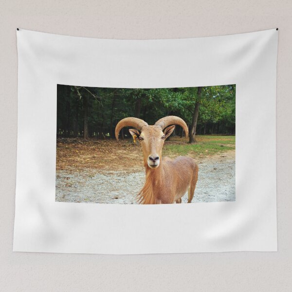 Item preview, Barbary Sheep designed and sold by Cynthia48.