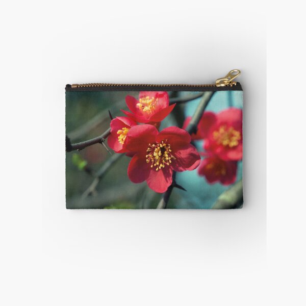 Item preview, Chaenomeles Japonica designed and sold by Nerone.