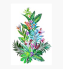 Tropical Fest Photographic Print