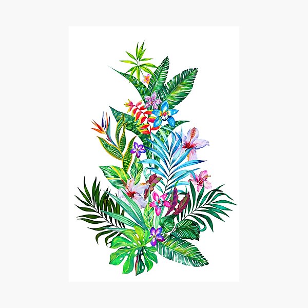 Tropical Fest Photographic Print