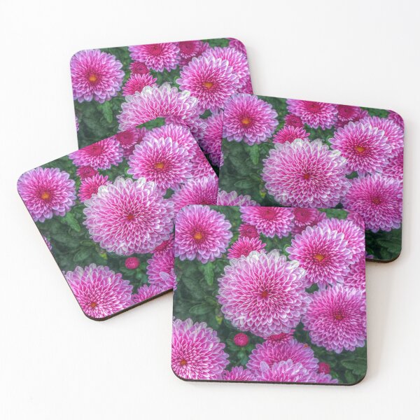 Item preview, Purple Mums designed and sold by Frankie Cat Photography.