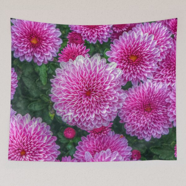 Item preview, Purple Mums designed and sold by Frankie Cat Photography.