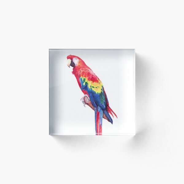 Scarlet Macaw Parrot Acrylic Block